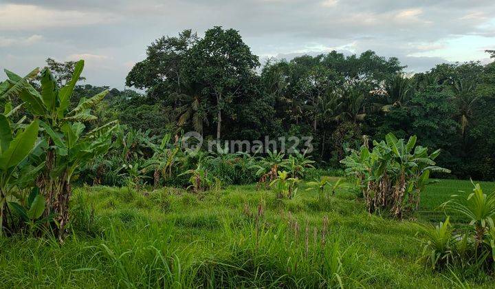 Hot List Di Jual Tanah View Sawah Lokasi Nyanyi Beraban Kediri Tabanan 1