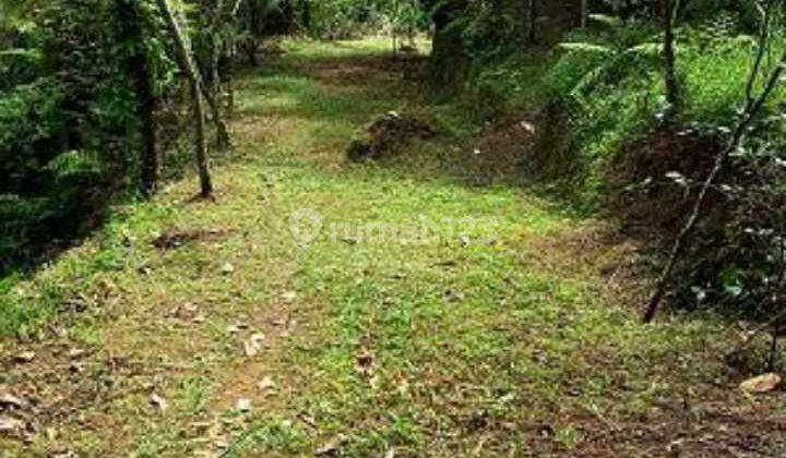 Hot List Land for sale in Buahan Payangan Ubud Gianyar 2