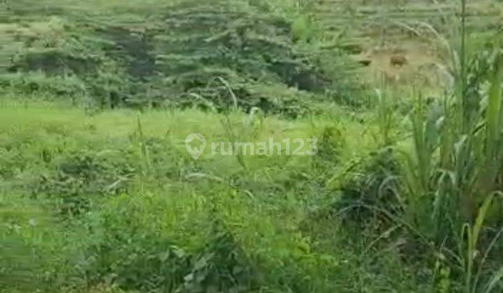 Hot List Di Jual Tanah Lokasi Kerobokan Kuta Utara Badung 1