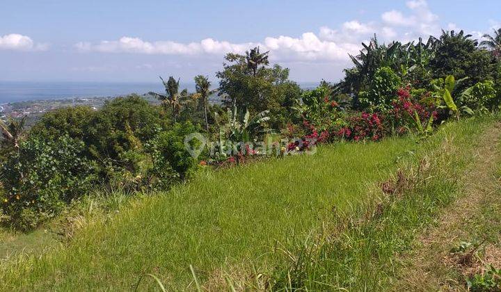 Hot List Di Jual Tanah View Laut Lokasi Goa Lawah Pesinggahan Dawan Klungkung 1