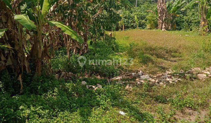 Hot List Di Jual Tanah Lokasi Tengkulak Kemenuh Ubud Gianyar 1