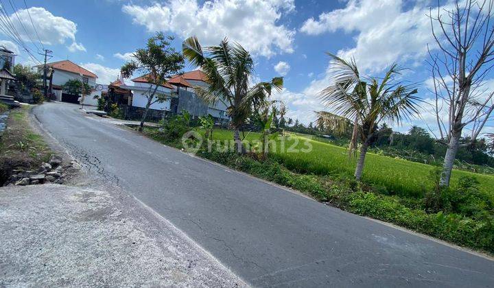 DI JUAL TANAH PINGGIR JALAN RAYA LOKASI NYANYI 2