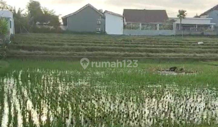 DI JUAL TANAH VIEW SAWAH LOKASI TIBUBENENG 1