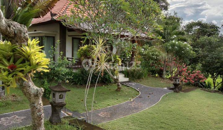 Hot List of Villas for Sale with Rice Field View, Batuan Ubud Gianyar Location  2