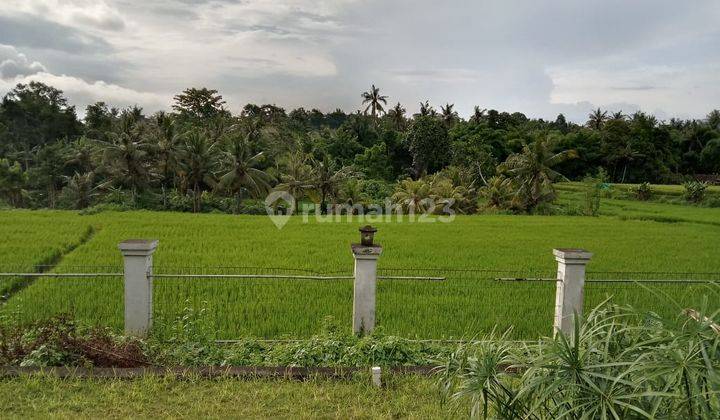 Hot List Di Jual Villa View Sawah Lokasi Batuan Ubud Gianyar  2