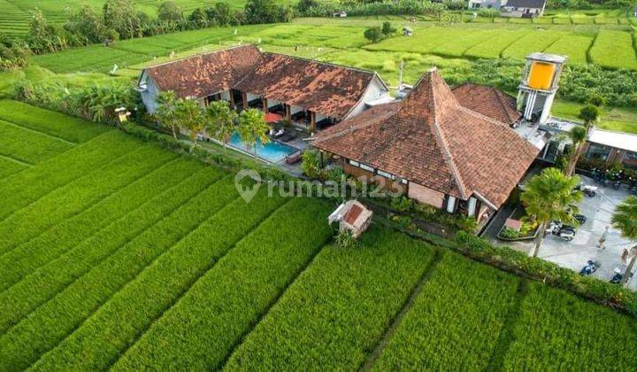 Hot List of Villas for Sale in Canggu, North Kuta, Badung 1