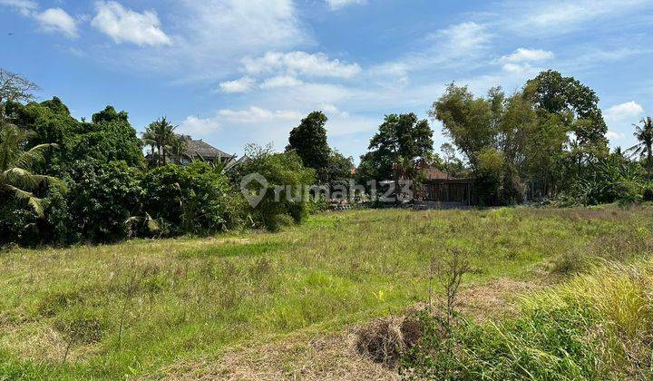 Hot List of Land for Sale in Beraban, Kediri, Tabanan 1