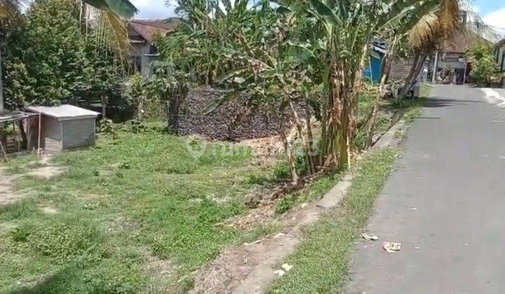 Hot List Di Jual Tanah Lokasi Jalan Cut Nyak Dien Gianyar 1