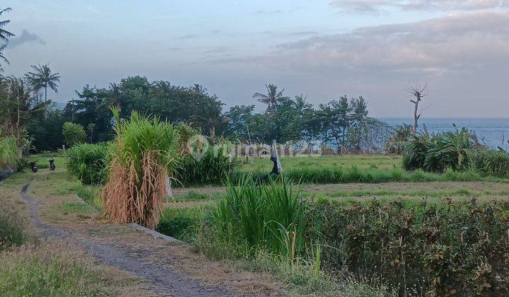 Hot List Di Jual Tanah Loss Pantai View Laut Lokasi Jarsi Perasi Sengkidu Manggis Karangasem 2