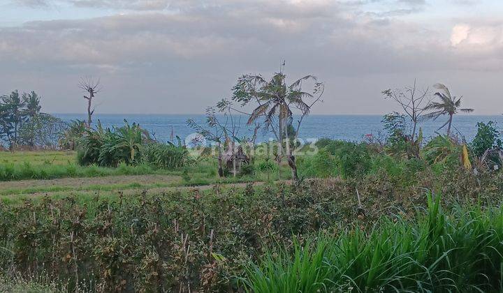 Hot List Di Jual Tanah Loss Pantai View Laut Lokasi Jarsi Perasi Sengkidu Manggis Karangasem 1