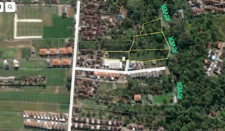 TOP URGENT LAND FOR SALE LOSS RIVER VIEW FOREST LOCATION PEGAT GUBUG TABANAN 1