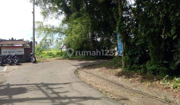 TOP URGENT DI JUAL TANAH LOSS SUNGAI VIEW SAWAH LOKASI SILUNGAN UBUD GIANYAR
 2