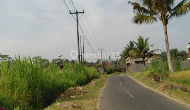 TOP URGENT DI JUAL TANAH PINGGIR JALAN LOKASI PEJENG UBUD GIANYAR
 2