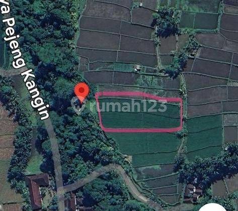 TOP URGENT FOR SALE LAND LOSS SUNGAI VIEW SAAH LOCATION PEJENG KANGIN UBUD GIANYAR
 1