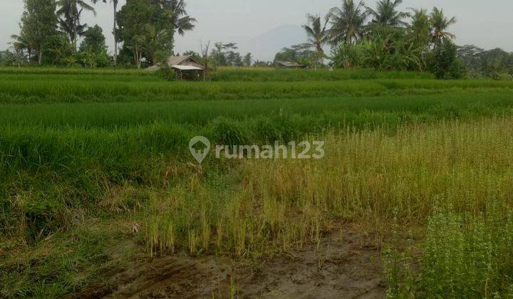 TOP URGENT FOR SALE LAND LOSS SUNGAI VIEW SAAH LOCATION PEJENG KANGIN UBUD GIANYAR
 2