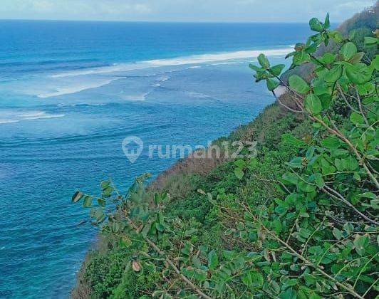 TOP URGENT LAND FOR SALE LOSS TEBING SEA VIEW PANDAWA LOCATION KUTUH KUTA SELATAN BADUNG 2