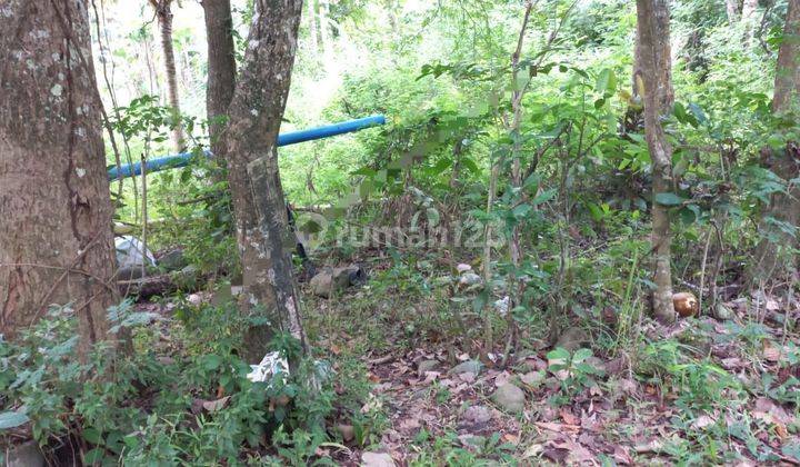 TOP URGENT DI JUAL TANAH LOSS PANTAI VIEW LAUT LOKASI PEKUTATAN JEMBRANA 
 1