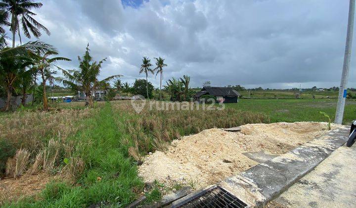 TOP URGENT DI JUAL TANAH DEKAT PANTAI VIEW SAWAH LOKASI NYANYI BERABAN KEDIRI TABANAN 2