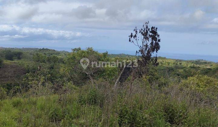 TOP URGENT LAND FOR SALE SEA VIEW LOCATION BATU KANDIK NUSA PENIDA KLUNGKUNG 1