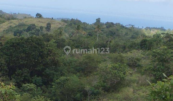 TOP URGENT LAND FOR SALE SEA VIEW LOCATION BATU KANDIK NUSA PENIDA KLUNGKUNG 2