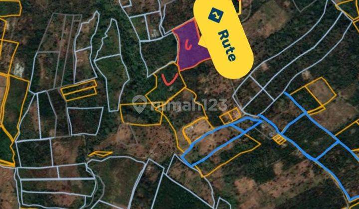 TOP URGENT FOR SALE SEA & MOUNTAIN VIEW LAND WOOD LOCATION PANDAK GESING BANJAR BULELENG
 1