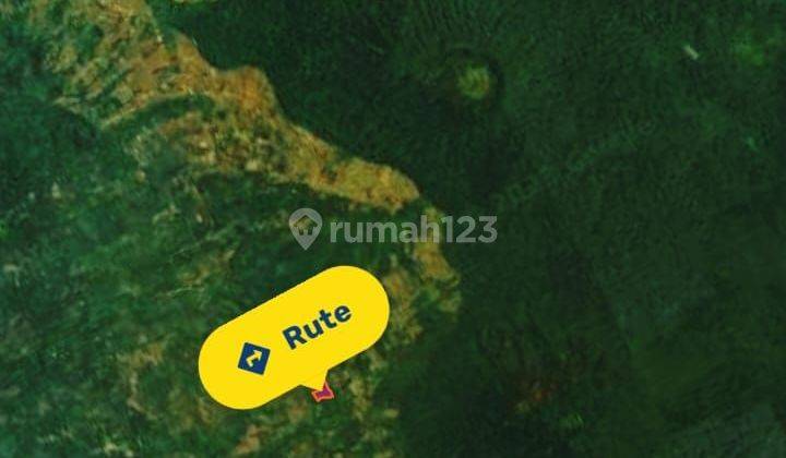 TOP URGENT FOR SALE SEA & MOUNTAIN VIEW LAND WOOD LOCATION PANDAK GESING BANJAR BULELENG
 2