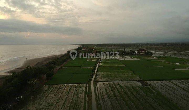 TOP URGENT DI JUAL TANAH LOSS PANTAI VIEW LAUT & SAWAH LOKASI YEH EMANG MENDOYO JEMBRANA 1