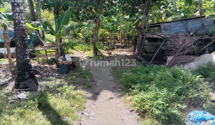 TOP URGENT LAND FOR SALE LOSS BEACH VIEW SEA LOCATION PED NUSA PENIDA KLUNGKUNG 2