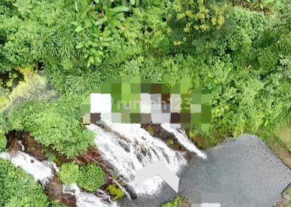 TOP URGENT DI JUAL TANAH LOKASI SUKASADA BULELENG 1