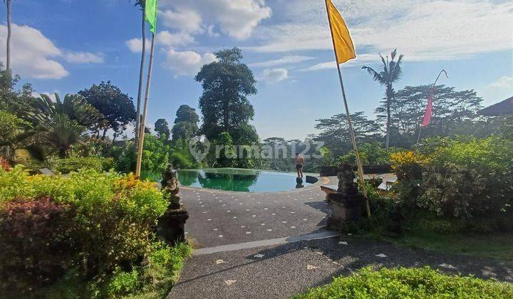 TOP URGENT DI JUAL RESORT BINTANG 5 LOKASI UBUD GIANYAR
 1