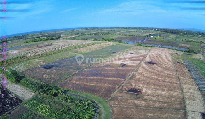 TOP URGENT FOR SALE LAND LOCATION PASUT TIBUBIU TABANAN 1