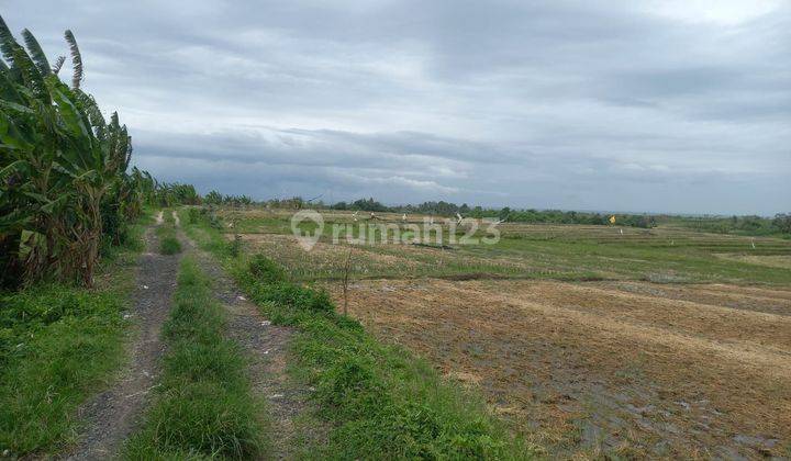 TOP URGENT FOR SALE LAND LOCATION PASUT TIBUBIU TABANAN 2