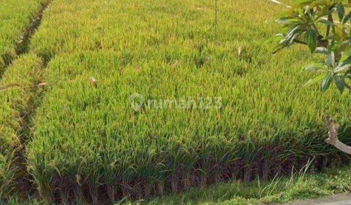 TOP URGENT DI JUAL TANAH LOKASI PERERENAN CANGGU KUTA UTARA BADUNG 1