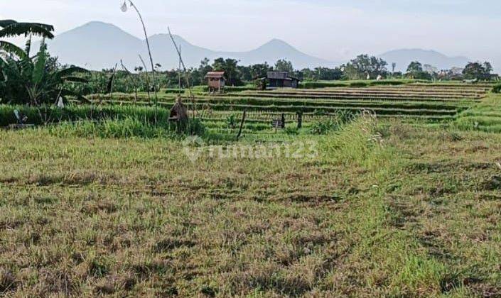 TOP URGENT DI JUAL TANAH KAVLING  LOKASI DEKAT BUMBAK UMALAS & SEMER DI KEROBOKAN KAJA KUTA UTARA BADUNG
 2