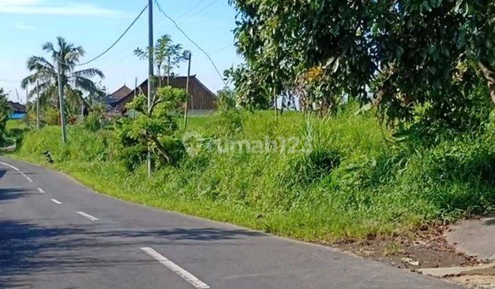 TOP URGENT DI JUAL TANAH LOKASI BEDUGUL TABANAN 2