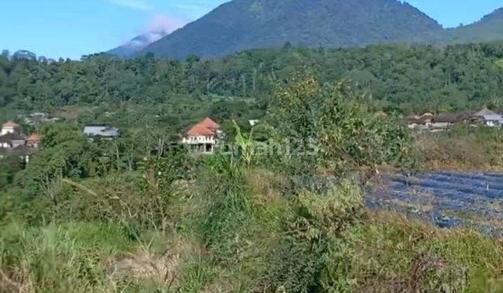 TOP URGENT DI JUAL TANAH LOKASI BEDUGUL TABANAN 1