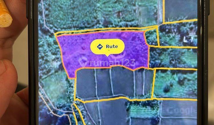 TOP URGENT LAND FOR SALE RICE VIEW LOCATION KEMENUH UBUD GIANYAR 
 1