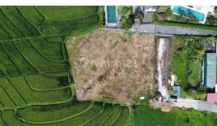 SURE CLOSING FOR SALE LAND IN BRAWA CANGGU NORTH KUTA BADUNG LOCATION 2