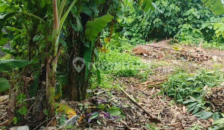 Pasti Closing Di Sewakan Tanah Lokasi Brawa Canggu Kuta Utara Badung