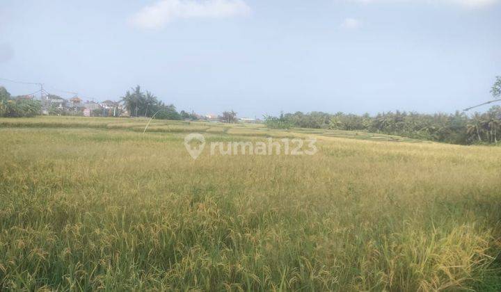 DEFINITELY CLOSING FOR SALE LAND SIDE OF ROAD LOCATION LAND LOT TABANAN 1