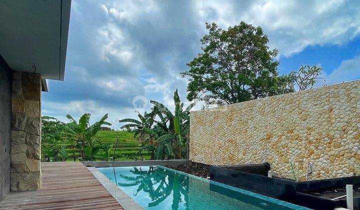 Hot List For Sale Villa Enjelina Brand New View Rice Fields Location Tumbak Bayuh Pererenan Canggu 2