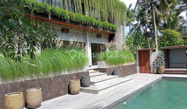 Hot List Di Jual Villa Brand New Dengan View Hutan Dan Sawah Lokasi Ubud 2