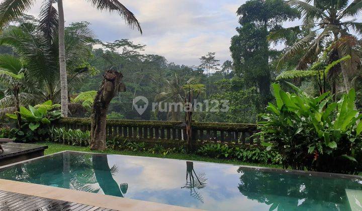 TOP URGENT DI JUAL VILLA COMPLEX DENGAN VIEW HUTAN LOKASI PAYANGAN UBUD  1