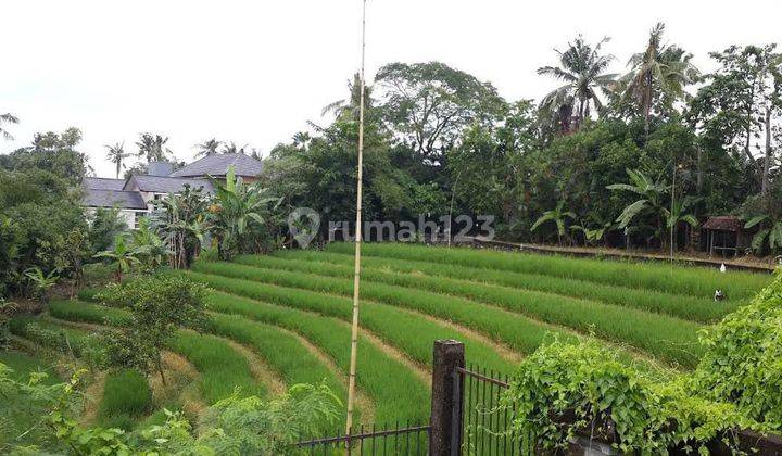 Hot List Di Jual Villa Dengan View Sawah Lokasi Brawa Canggu 2