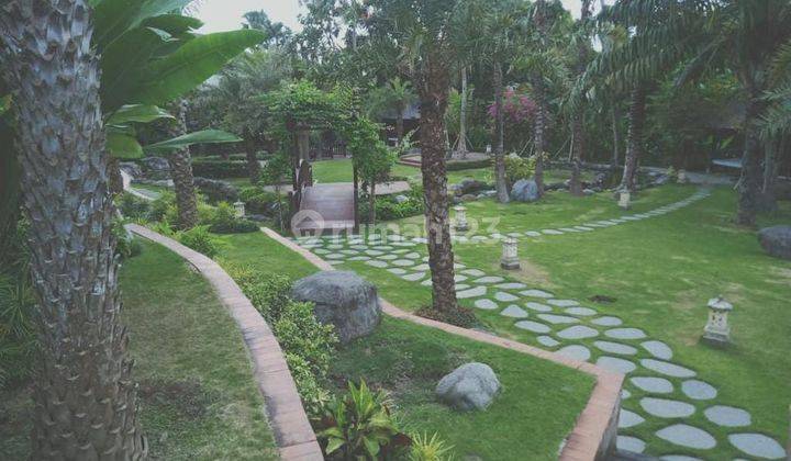 Hot List Di Jual Villa Dengan View Sawah Lokasi Brawa Canggu 1