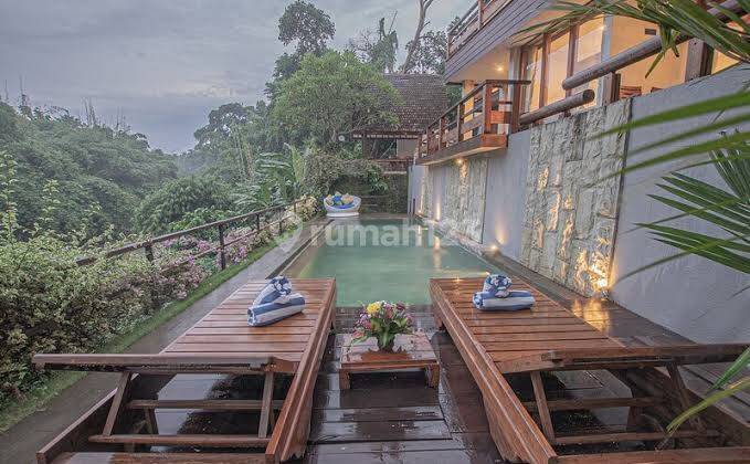 Hot List Di Jual Villa Luxury Dengan View Hutan Dan Sungai Lokasi Denpasar Utara 2