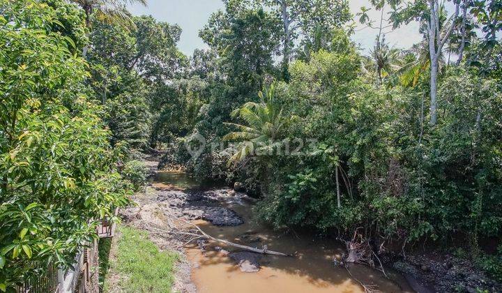 Hot List Di Jual Villa Loss Sungai Lokasi Nyanyi Tabanan 2