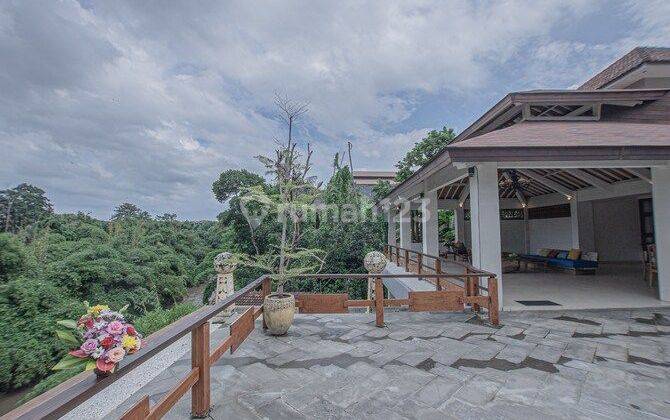 Hot List of Jungle and River View Villas for Sale, North Denpasar Location 1