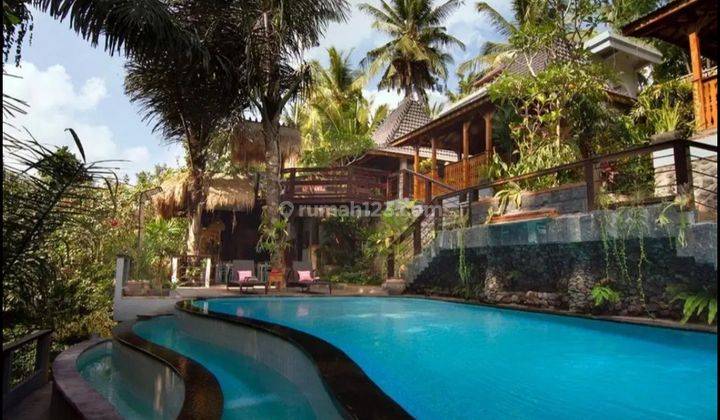 TOP URGENT VILLA AND SPA FOR SALE CENTRAL LOCATION UBUD GIANYAR
 2