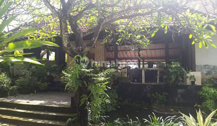 Hot List Di Jual Cilla Complex Lokasi Sedap Malam Sanur 1